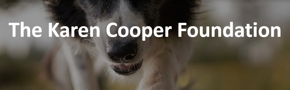 Karen Cooper Foundation